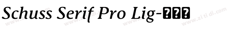 Schuss Serif Pro Lig字体转换